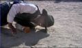 dr dolittle 3-avi_1000_230.jpg
